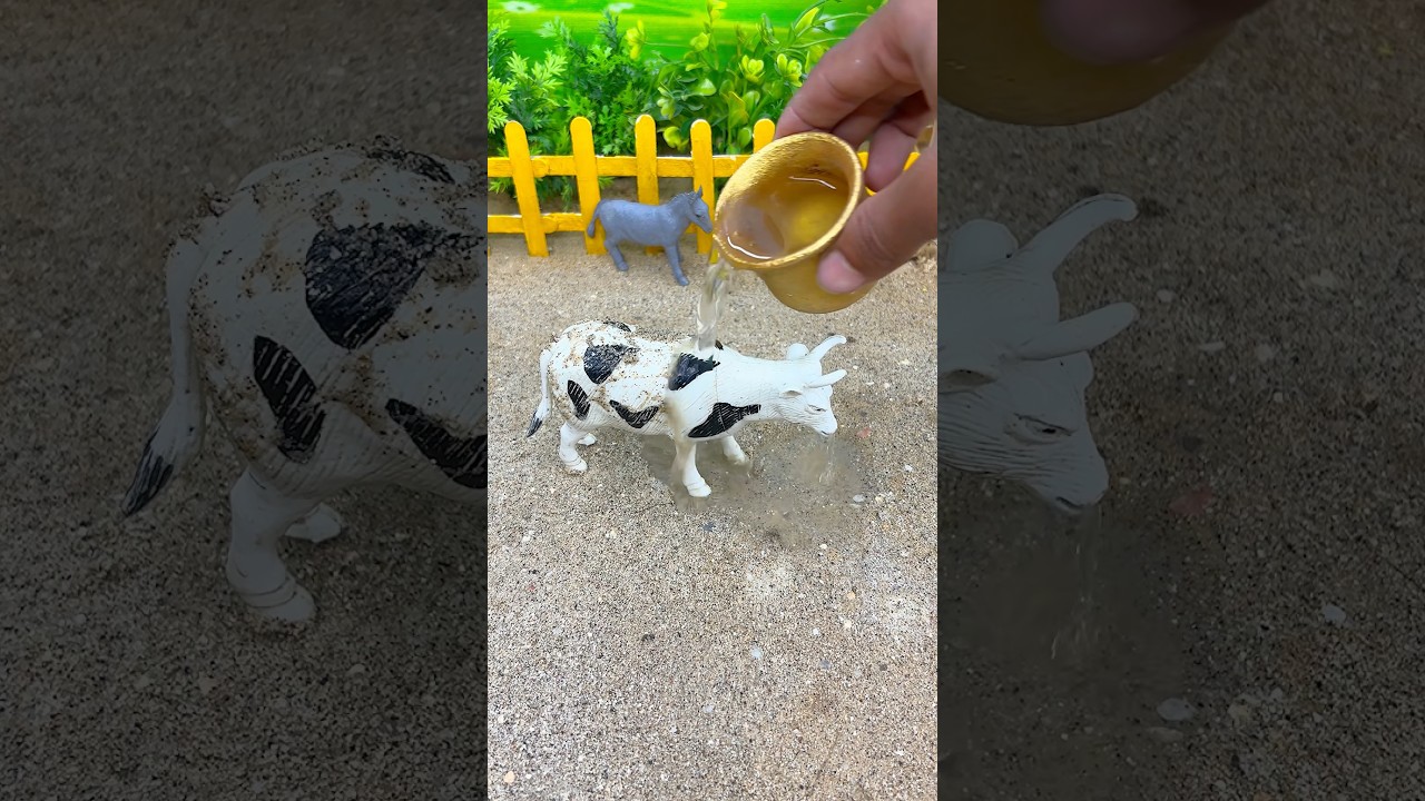 Mini Water Pump Cleans Dirty Cow 💧 | Relaxing Animal Video|