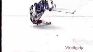 *Rangers - Nordiques rough stuff 5/12/95 playoffs