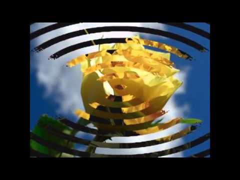 ЛЕНА,А РОЗЫ ЭТИ ДЛЯ ТЕБЯ! mpg - YouTube