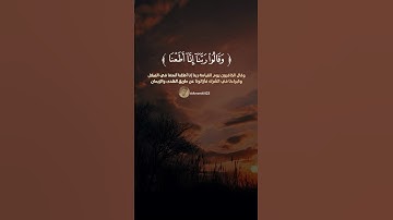 #صوت_جميل_رائع #قران_كريم #راحة_نفسية #المصحف #quranreaction #القارىء_اسلام_صبحي #سورة_الاحزاب