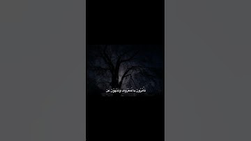 كُنتُمْ خَيْرَ أُمَّةٍ أُخْرِجَتْ لِلنَّاسِ | محمد صديق المنشاوي | سورة آل عمران