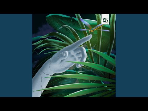 Sleduj Tropical Midnight na YouTube