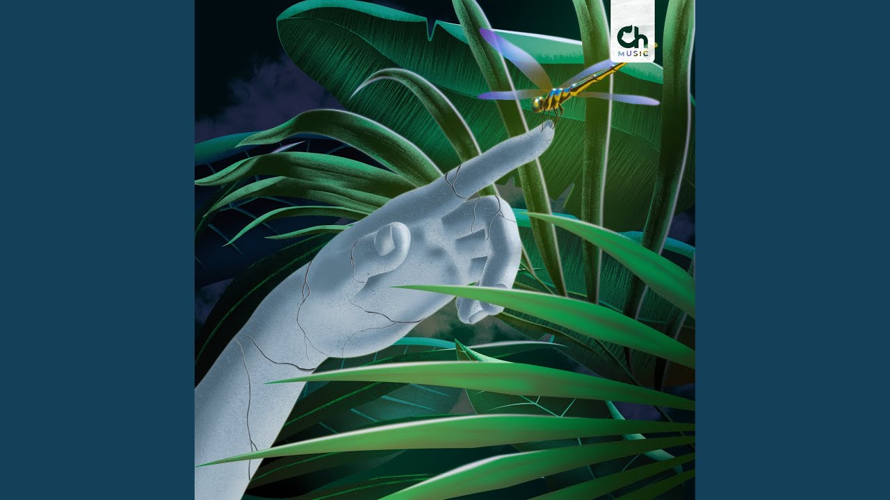 Guarda Tropical Midnight su YouTube