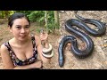Catching Snake And Cooking Dilicious/DỒI RẮN/Beautiful Girl Cooking