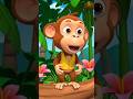 Monkey🐒 sing Melody in Jungle #funny #childhoodsongs #funniestvideo #jokes #song #justfun #funpost