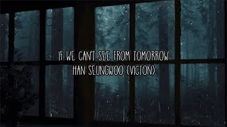 if we can't see from tomorrow by seungwoo of vitcton but it's raining