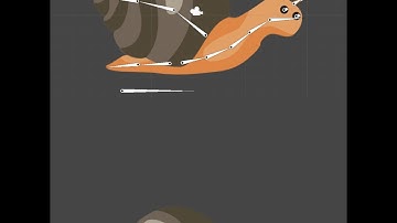 Snail 2D | Rig | Animation | Unity 2D