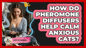 How Do Pheromone Diffusers Help Calm Anxious Cats? - Happy Cat Handbook