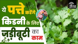 य पतत करग कडन क लए जडबट क कम Parsley For Kidney Patient Dr Puneet Kidney Specialist