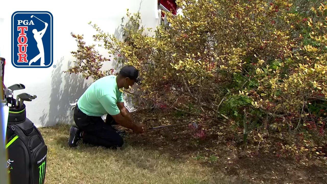 Ridiculous all-time escape shots from WGC-Dell Match Play