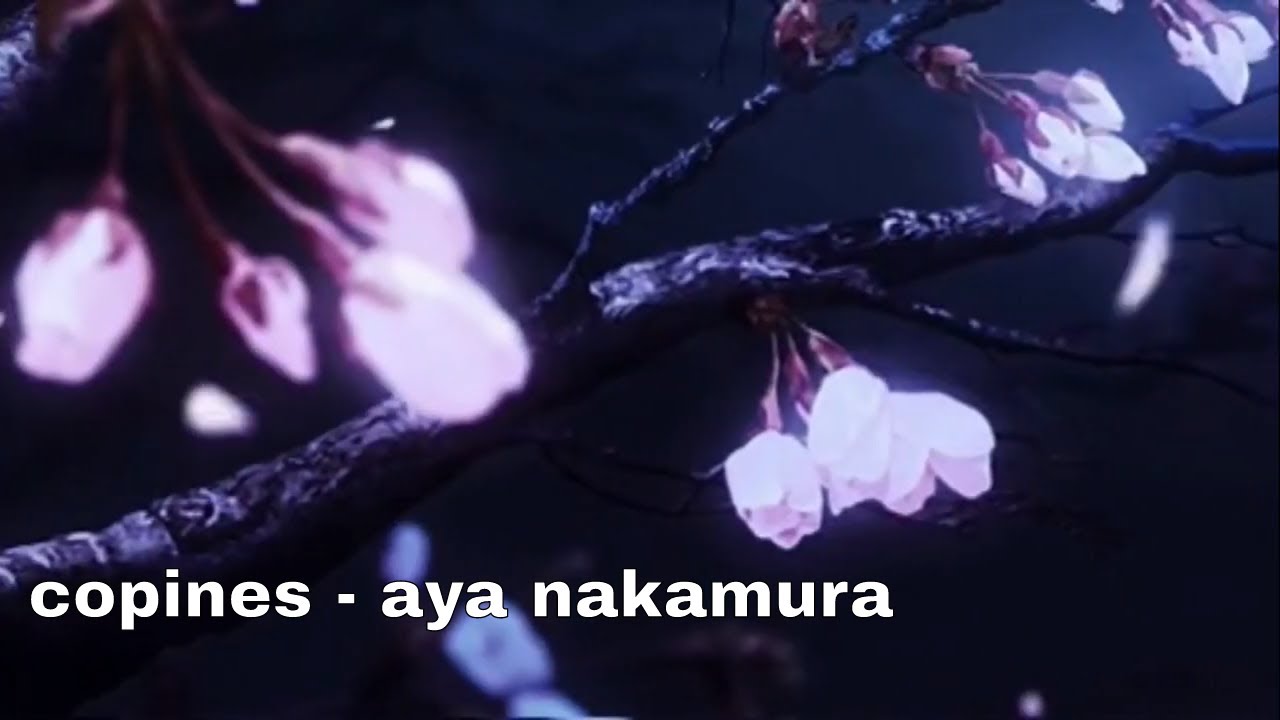 copines - aya nakamura (slowed + reverb)