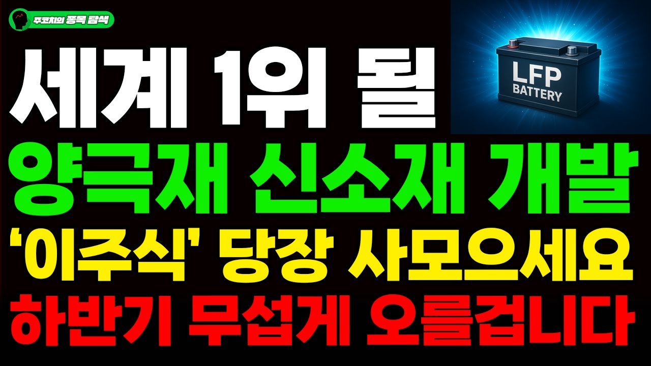 엘앤에프, 왜 사야 할까? 주코치 전문가의 추천 이유, 주가 전망, 목표가를 확인하고 투자 전력에 활용하세요! | 리틀비프로젝트