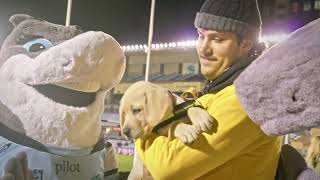 Petbarn Foundation 2025 Highlights