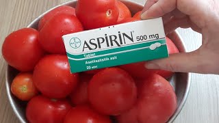 Aspirin İle Mucizeler Yaratın Aspirinli Süper Domates Turşusu Tarifi