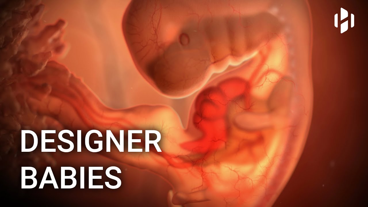 How to Create Designer Babies From Skin Cells - YouTube