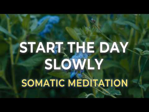 Morning Somatic Meditation | Reset Your Nervous System in 10 Minutes