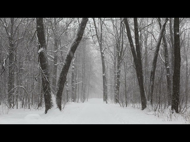 Robert Frost - Stopping by Woods on a Snowy Eveningのサムネイル