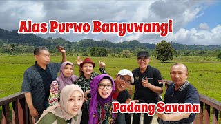 Download Lagu Padang Savana Alas Purwo Banyuwangi || Jalan jalan ke Banyuwangi part 5 MP3