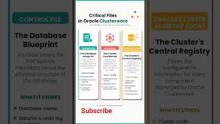 Control File vs Voting Disk vs OCR (Oracle RAC Explained)