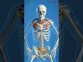 What happen if you dont blink for 24hr👁(Skeleton Experiment)