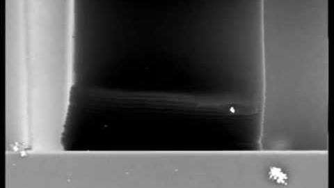 In situ compression of a carbon nanotube pillar with coating.