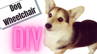 DIY Dog Wheelchair [Building A Doggie Wheelchair For My Mom’s Corgi] CUTE CORGI BUTT IN THIS VIDEO