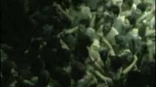 Ayva Cicek Acmis Resimi