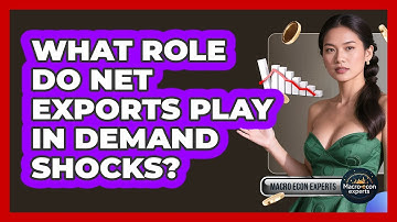 What Role Do Net Exports Play In Demand Shocks? - Macroecon Experts