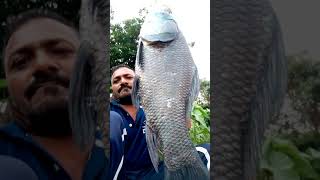 Catla fish catch||Catla machli pakadna||Carp fishing||Bait fishing