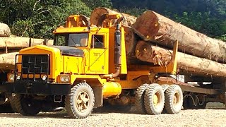 Amazing Log Truck Driving Skills  - Old Truck Logging - Timber Trucks