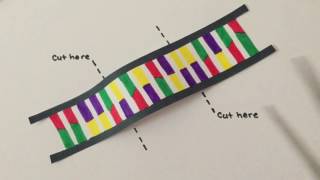 Demystifying CRISPR-Cas