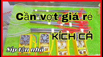 Cần vợt kích cá giá rẻ, xào đi xiệc chất lượng | Đt/Zalo: 0829 700 461|Điện tử chí khang|Fish size