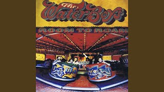 Video thumbnail of "The Waterboys - In Search of a Rose (2008 Remaster)"