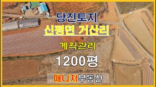 (토230331)당진토지매매,신평면토지,계획관리1200평