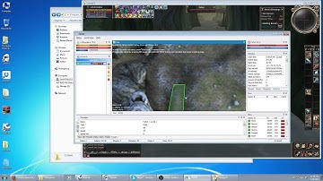 Showing how to use Adrenaline for Lineage 2 - 11 / 15