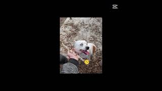 gel.bebiss gel #enesabi #yarenabla