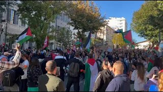 Plusieurs centaines de manifestants à Marseille en soutien à Gaza