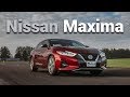 Nissan Maxima - Una especie en peligro de extinción| Autocosmos