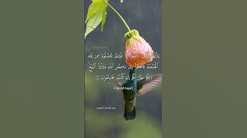 #quran #اكسبلور #قرآن #لايك #تلاوة_خاشعة #راحة_نفسية #duet #حالات_واتس