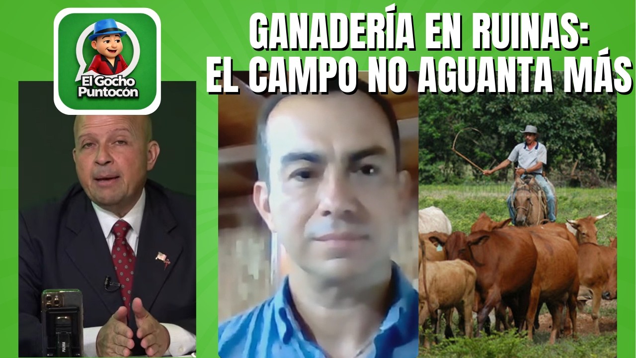 MILITARES Y GUERRILLA PONEN EN JAQUE GANADERÍA EN VENEZUELA |#evtv | #ELGOCHOPUNTOCON | 03/04/26 3/5