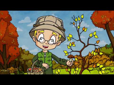 Почему листья зеленые? - Профессор Почемушкин