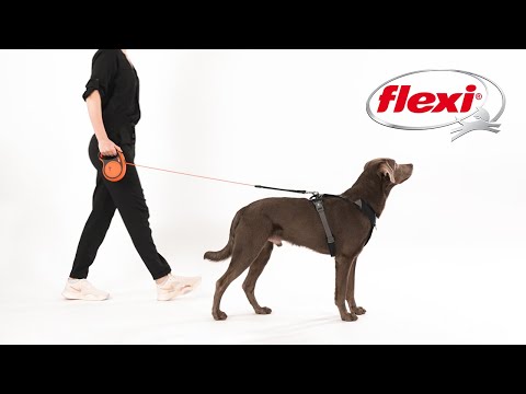 How to use a flexi® Leash - The only original retractable leash 2023