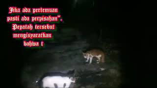 Story Wa Pertemuan