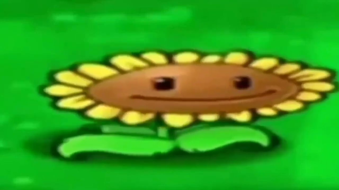 подсолнух флексит под herz im sturm