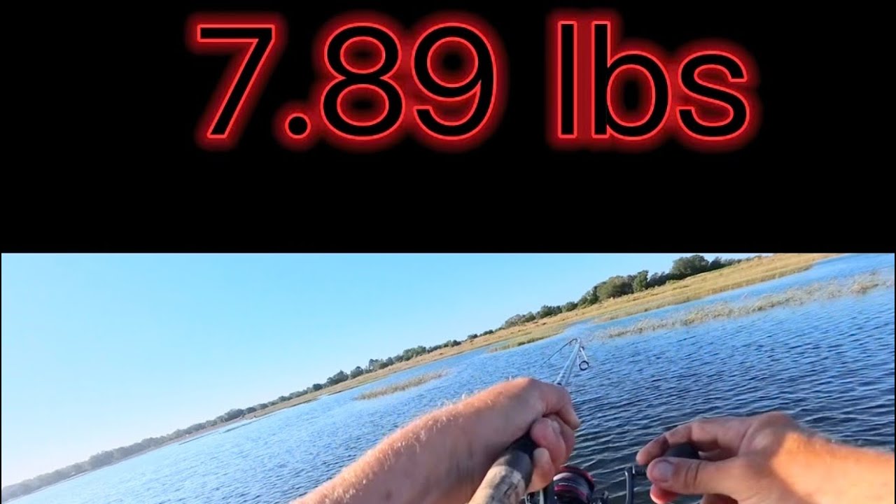 What it's like catching a 7.89 Ib Florida Bass! #bass #fishing #kayak #florida #hog
