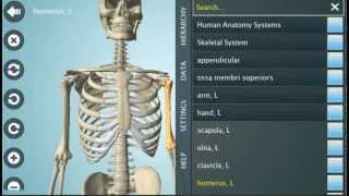 Anatomy 3D Pro - Anatronica