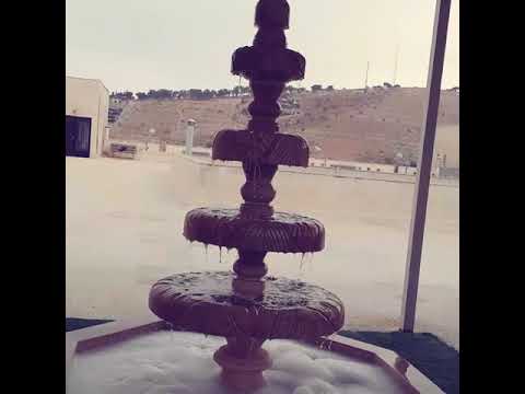 ولاء جامعة فيلادلفيا