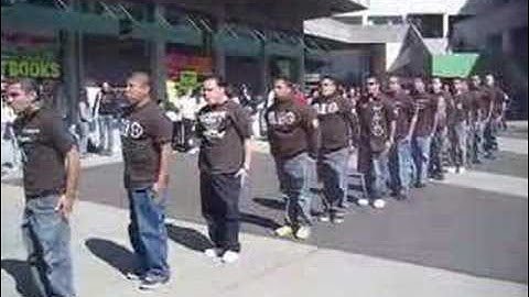 LAMBDA THETA PHI ALPHA OMEGA CHAPTER