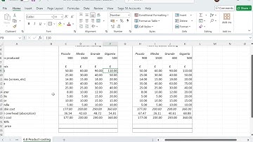 AQ2022 AAT Level 3 Management Accounting Techniques Spreadsheets Chapter 6 Activities Pizzaiola