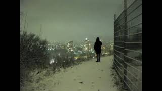 Fallen Timbers - Faster Than Any Light